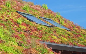 St Erney living roof systems